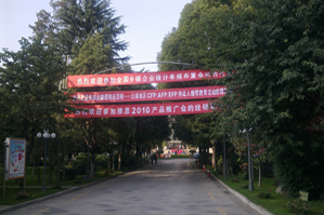 20101215123214129.jpg
